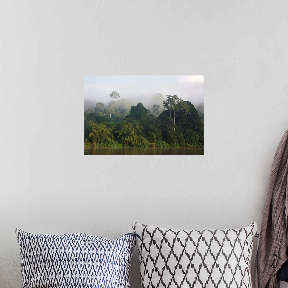 A bohemian room featuring Misty rainforest along the Kinabatangan River, Sabah, Borneo, Malaysia