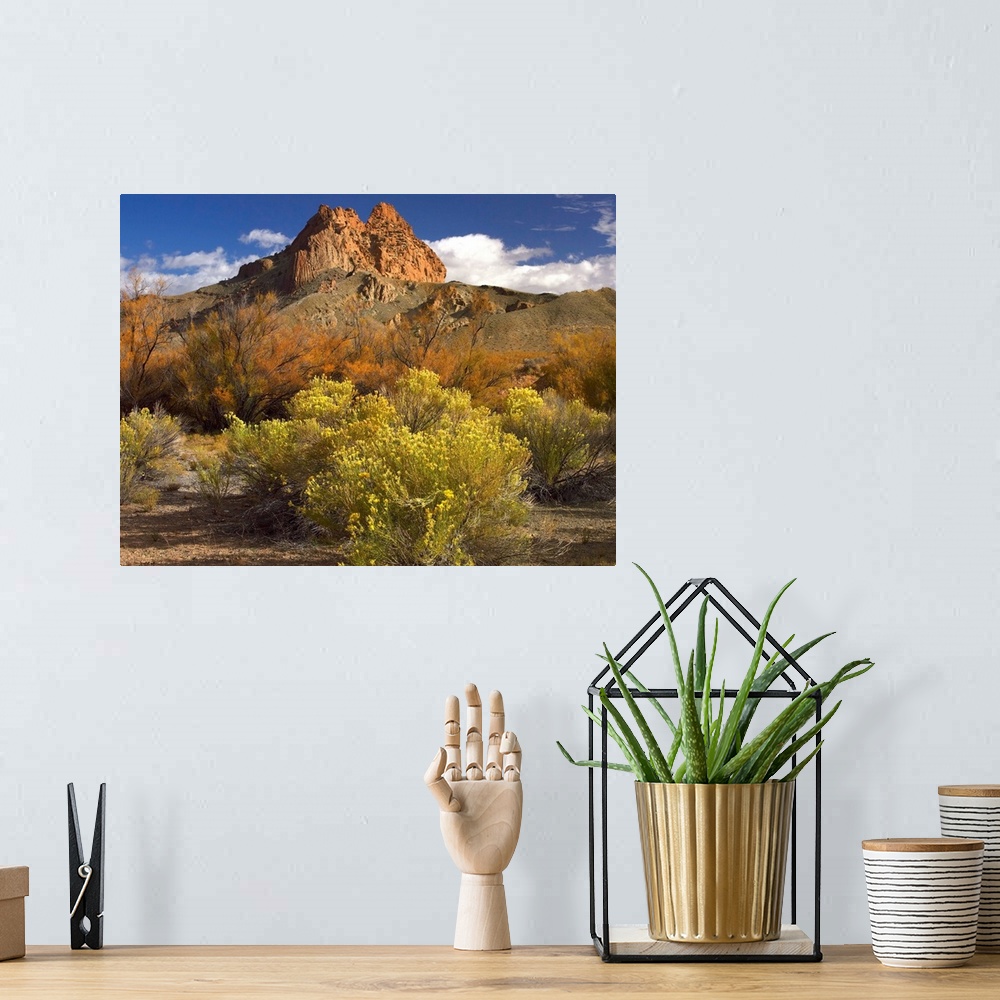 A bohemian room featuring Mitten Rock, New Mexico