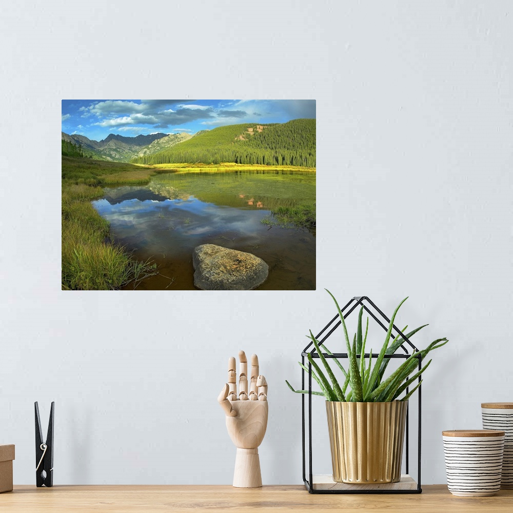 A bohemian room featuring This decorative wall art is a landscape photograph of a meadow, tree covered hills, and a mountai...