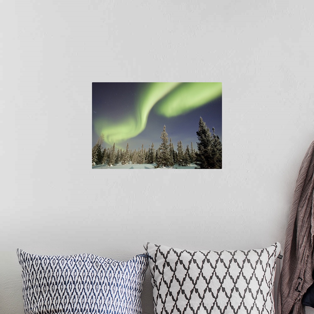 A bohemian room featuring Northern lights or aurora borealis over boreal forest, North America
