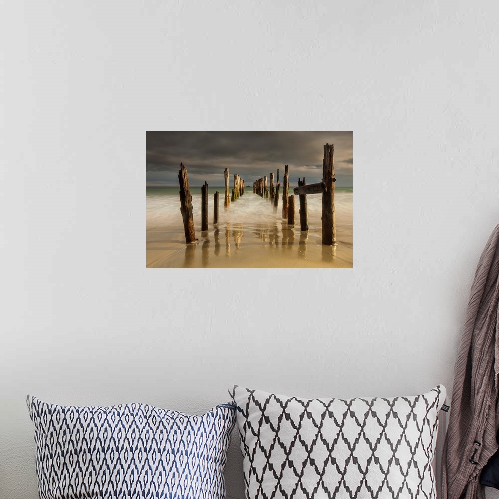 A bohemian room featuring Old wharf, evening light, St Clair beach, Dunedin, Otago