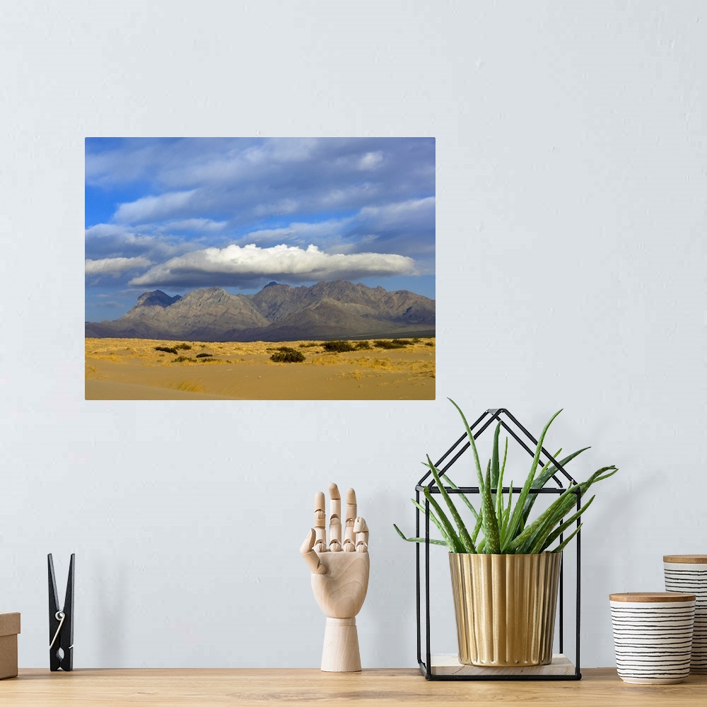 A bohemian room featuring Providence Mountains, Kelso Dunes, Mojave National Preserve, California