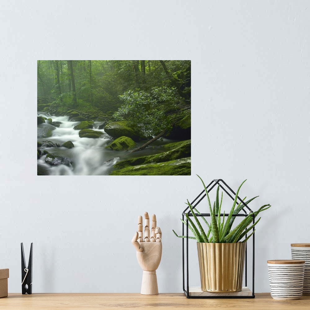A bohemian room featuring Roaring Fork River flowing through forest in Great Smoky Mountains National Park