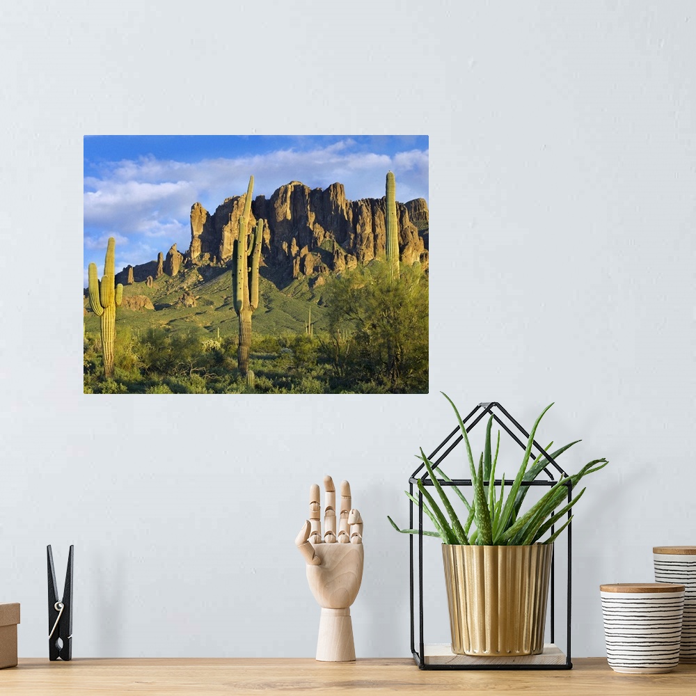A bohemian room featuring Saguaro cacti and Superstition Mountains at Lost Dutchman State Park, Arizona
