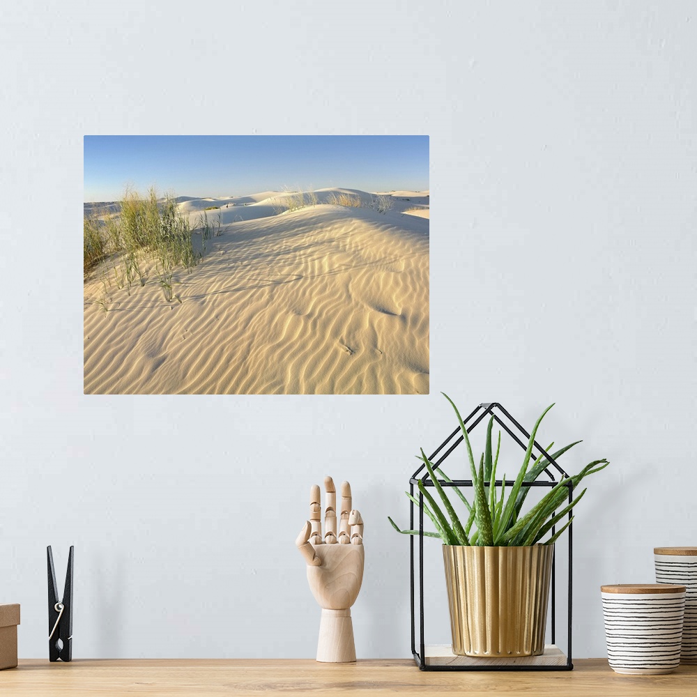 A bohemian room featuring Sand dunes, Monahans Sandhills State Park, Texas