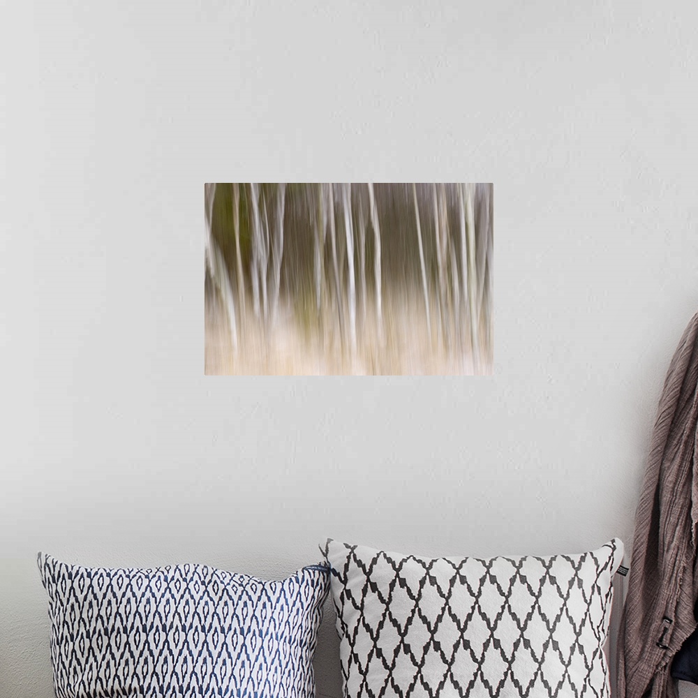 A bohemian room featuring Big, landscape photograph of trees in the snow that appear as blurred white vertical lines on a b...
