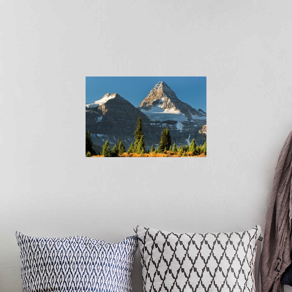 A bohemian room featuring Tundra and Mt. Assiniboine, Mt. Assiniboine Provincial Park, British Columbia, Canada SEPTEMBER
