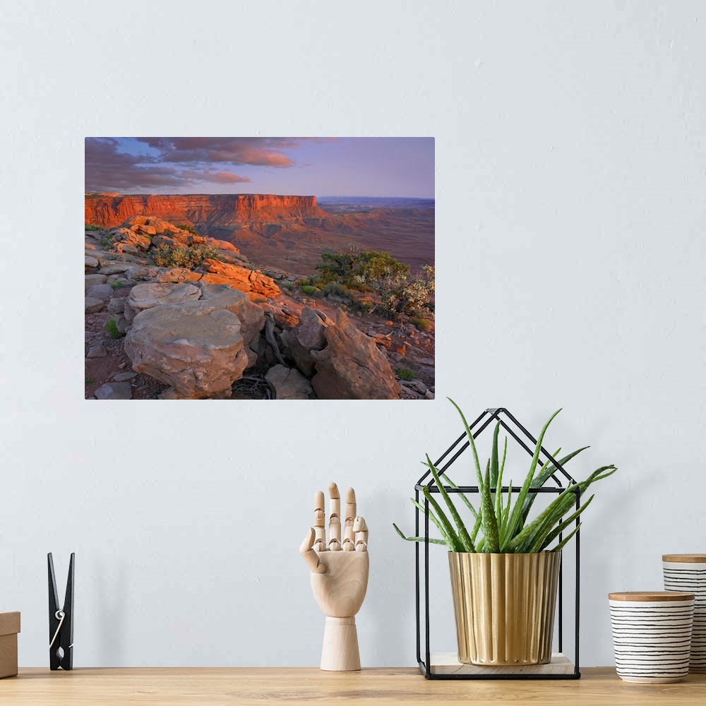 A bohemian room featuring View from the Green River Overlook, Canyonlands National Park, Utah