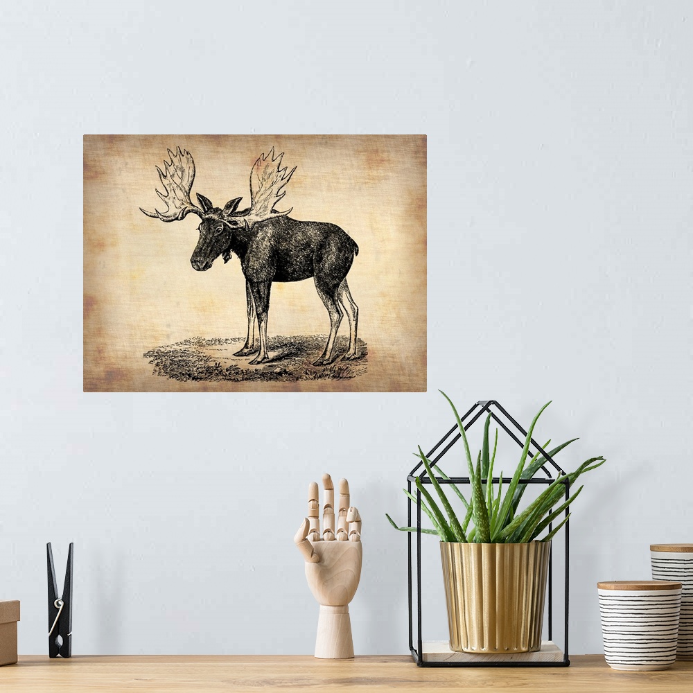 A bohemian room featuring Vintage Moose, vintage art, vintage prints, old prints, old drawings