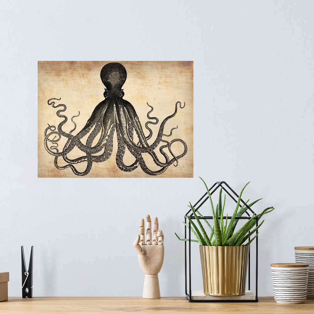 A bohemian room featuring Vintage Octopus, vintage art, vintage prints
