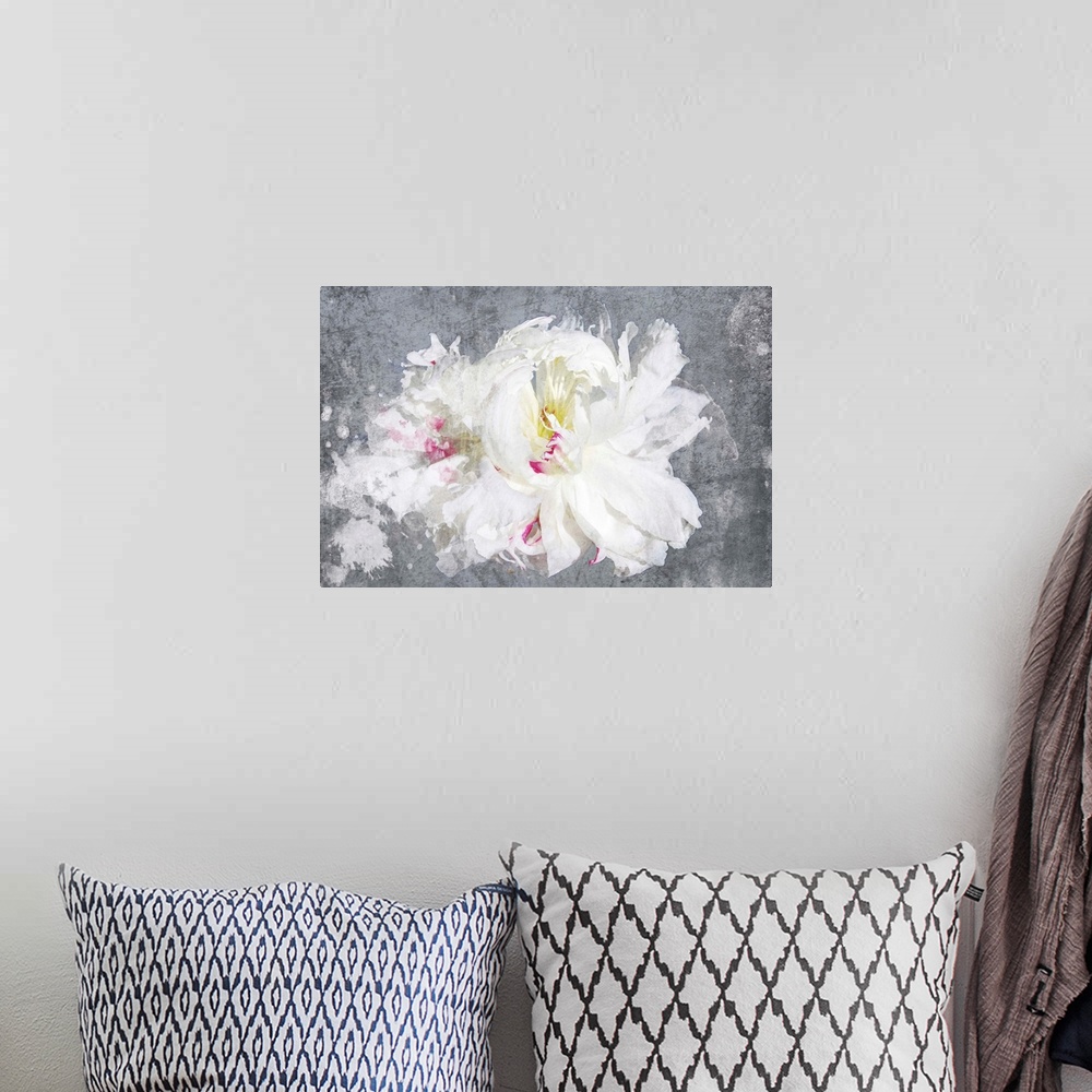 A bohemian room featuring Contemporary art of a white flower with delicate petals on grey.