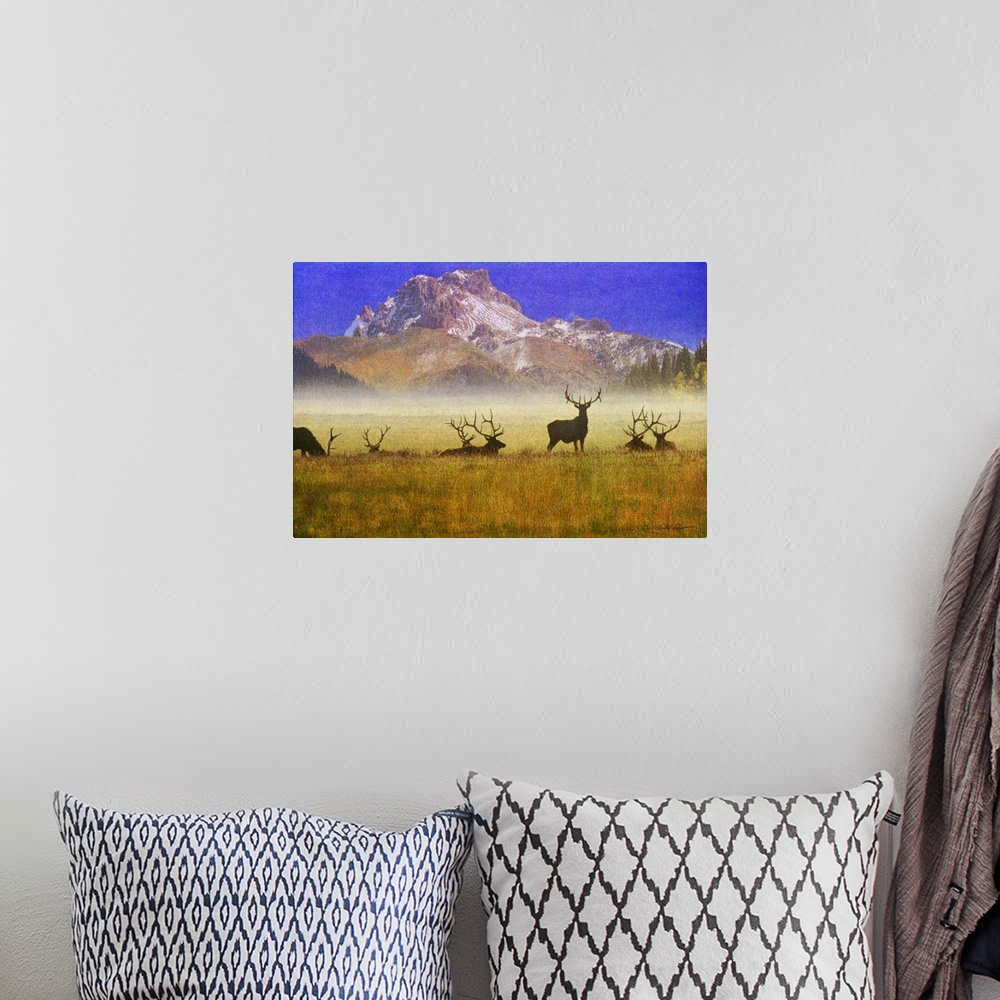 A bohemian room featuring Contemporary artwork of silhouetted group of bull elk in a misty morning field.