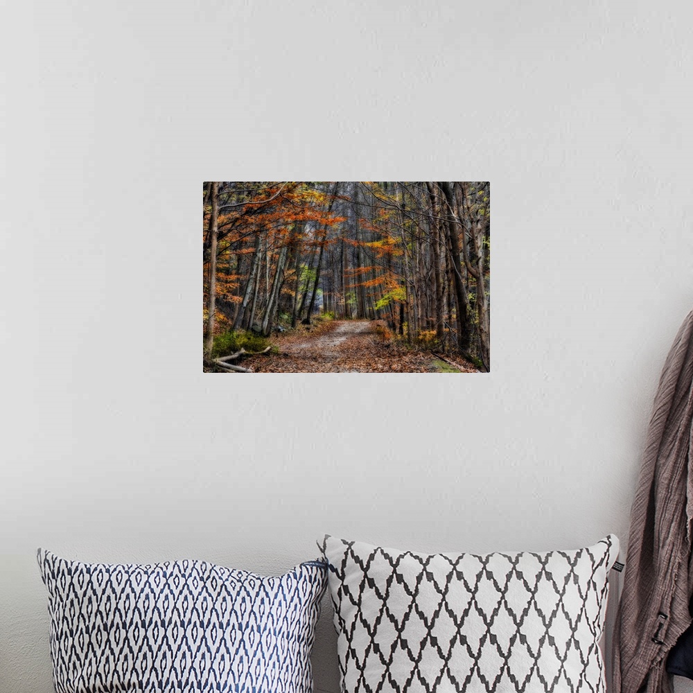 A bohemian room featuring Soft-focus effect applied to fall foliage along a mountain trail in Croton Dam Park.
