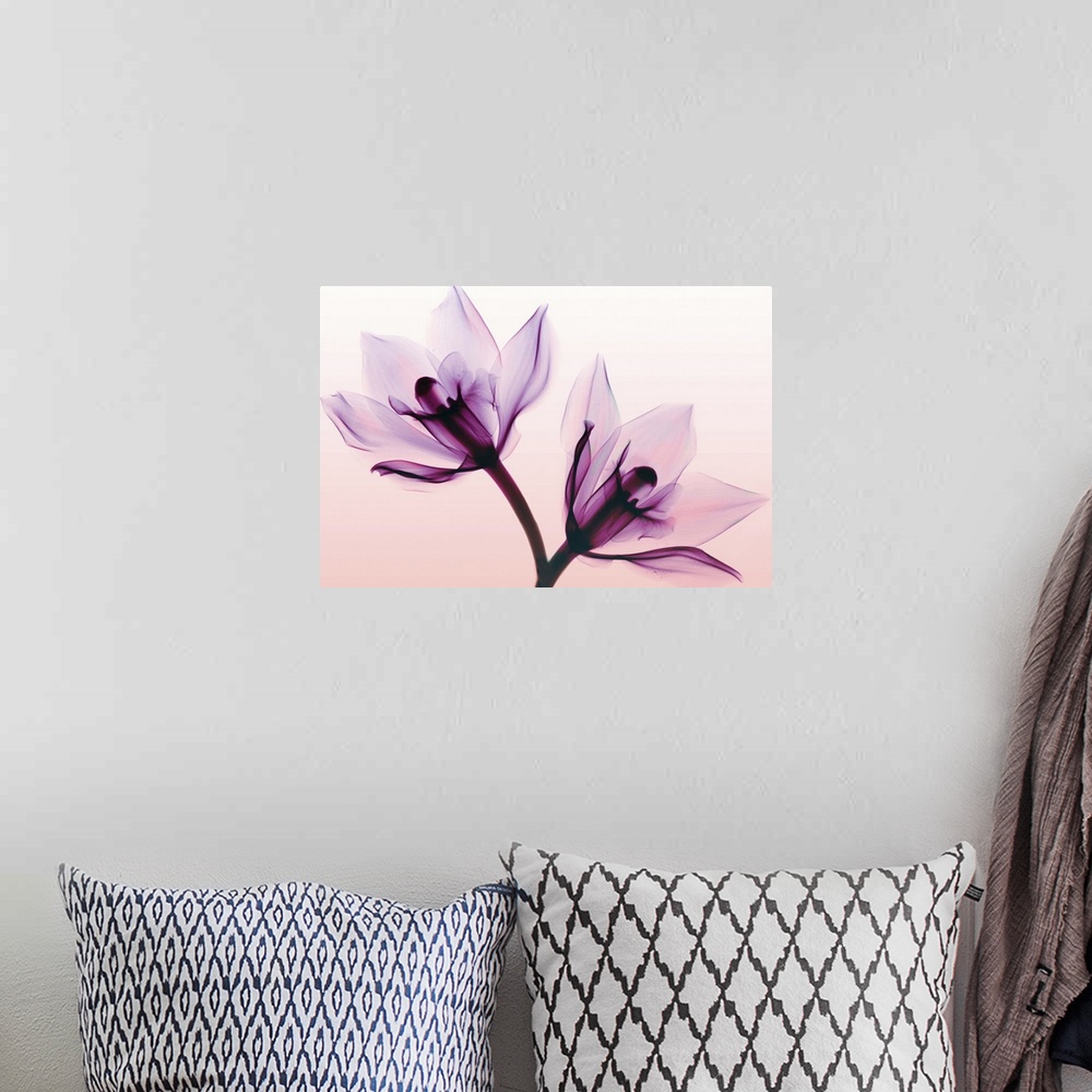 A bohemian room featuring Fine art photograph using an x-ray effect to capture an ethereal-like image of orchids.
