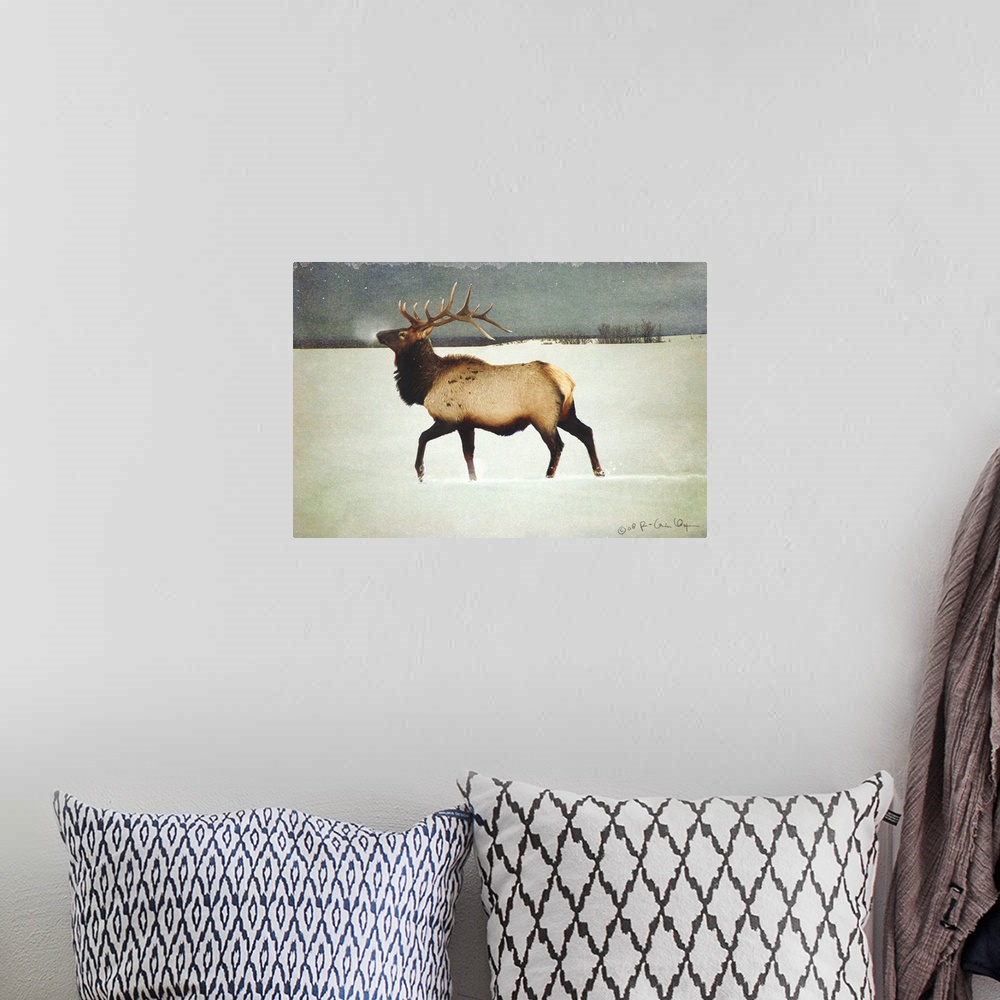 A bohemian room featuring Contemporary artwork of an elk standing in a snowy field.