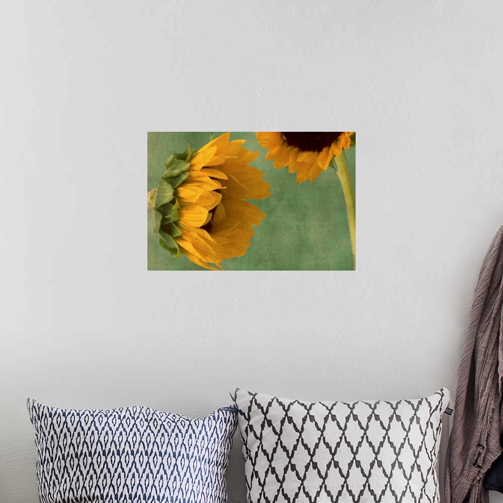 A bohemian room featuring Sunflowers