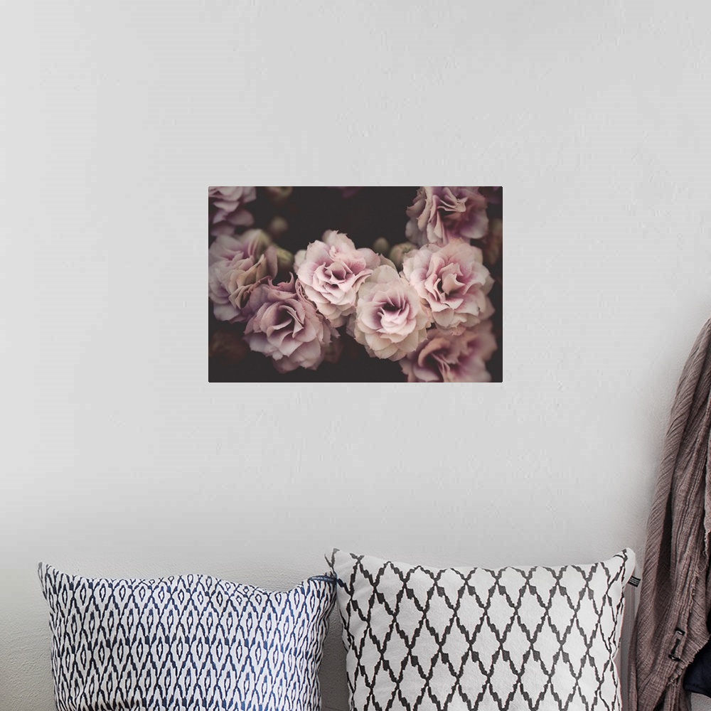A bohemian room featuring Dreamlike photograph of pink and white flowers clustered together on a dark background.