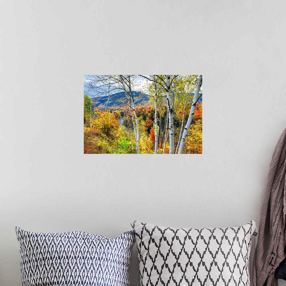 A bohemian room featuring Autumn color explosion in the white mountains with the Pemigewasset River, Franconia, New Hampshi...