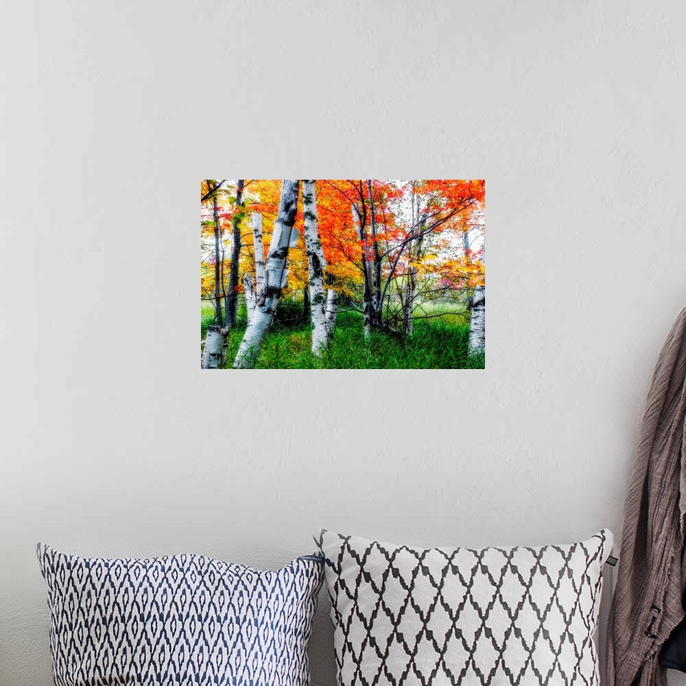 A bohemian room featuring Large image on canvas of trees with vivid fall foliage amongst long grass.