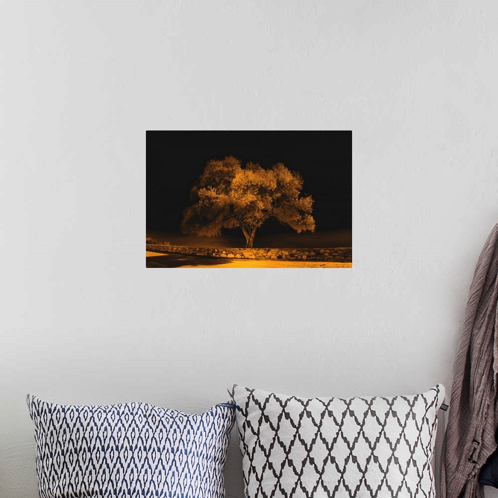 A bohemian room featuring Inferred photograph of a single tree behind a stone wall and street in orange and black tones.