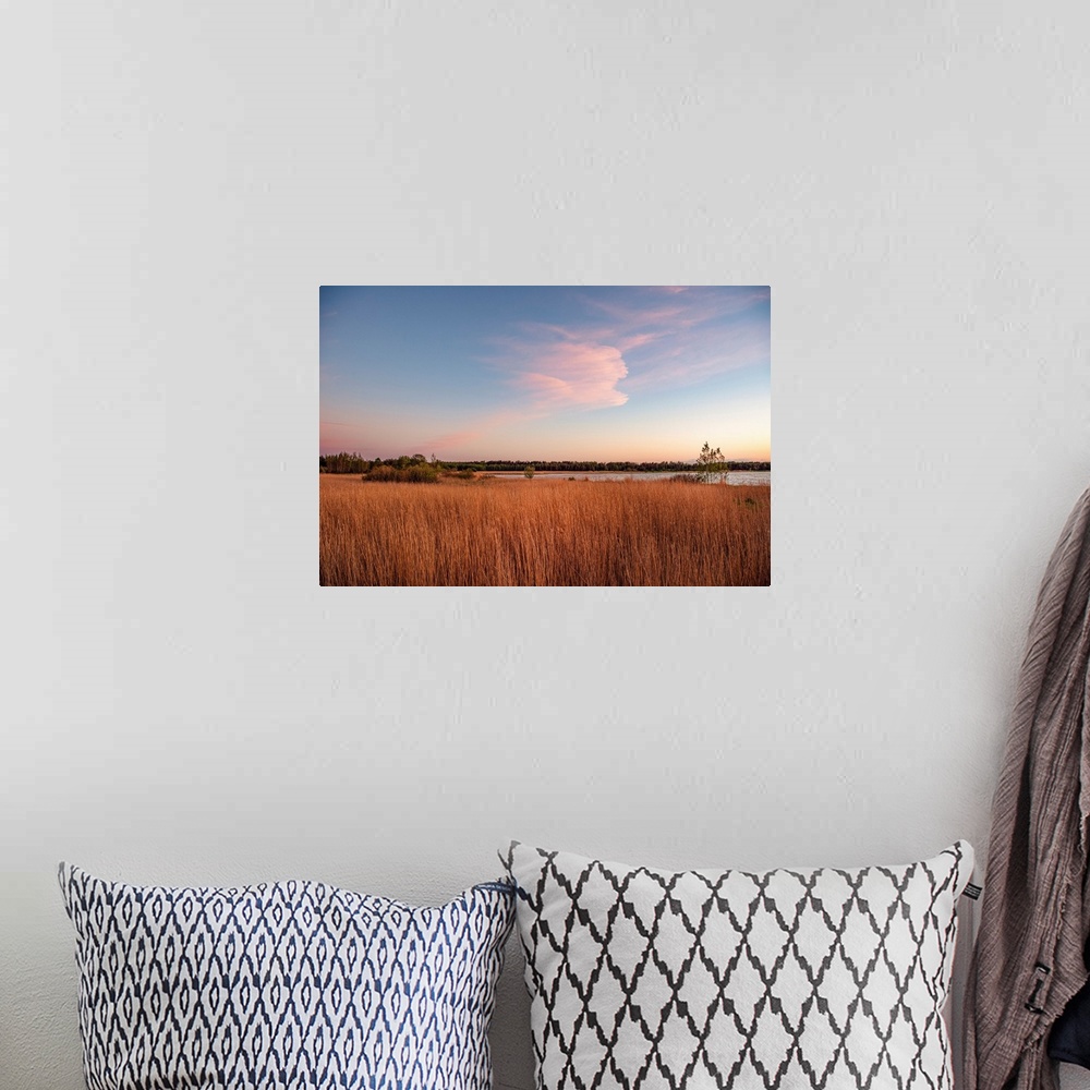 A bohemian room featuring Tall grass along the water at sunset