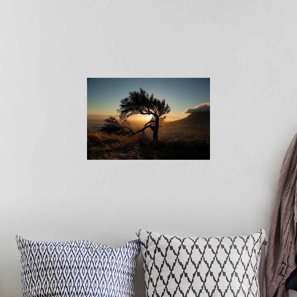 A bohemian room featuring A photo of a lone tree with a broken limb on a hill over a city with the sun shining behind.