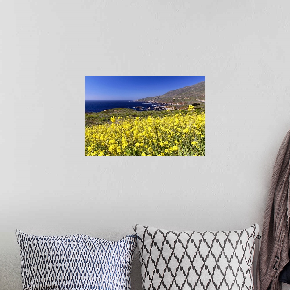 A bohemian room featuring Yellow Mustard Blooming at the Coast, Garrapata State Park, Big