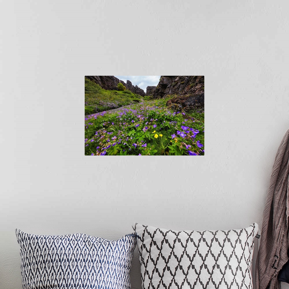 A bohemian room featuring Wildflower Filled Canyon, Thingvvellir, Iceland