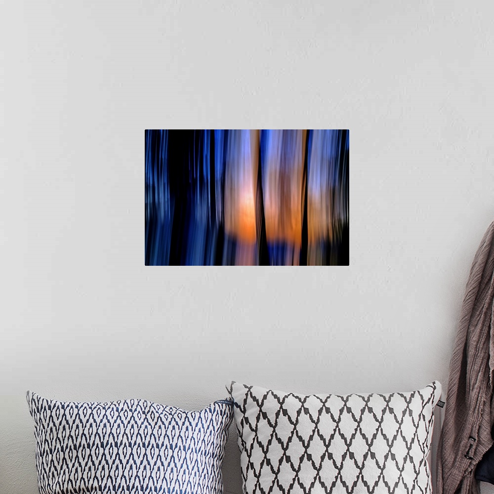 A bohemian room featuring Abstract view of a group of cedars at sundown