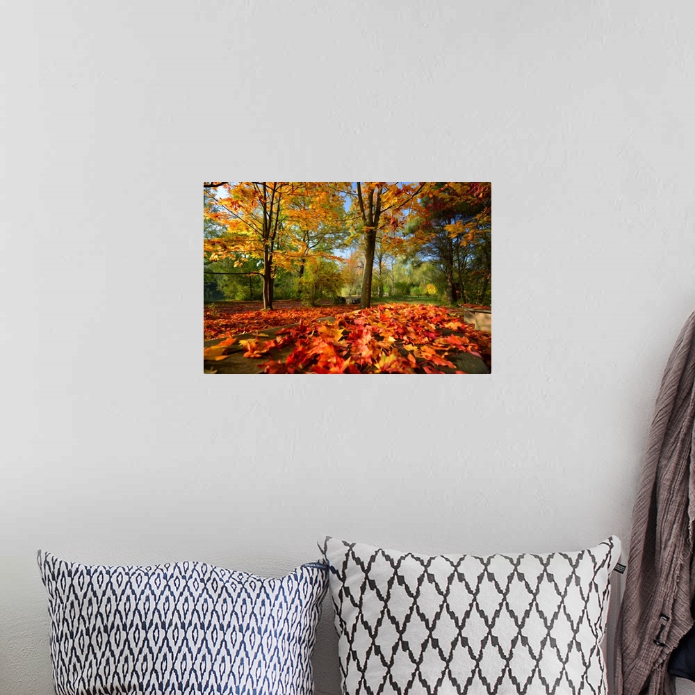 A bohemian room featuring A very colorful forest in autumn