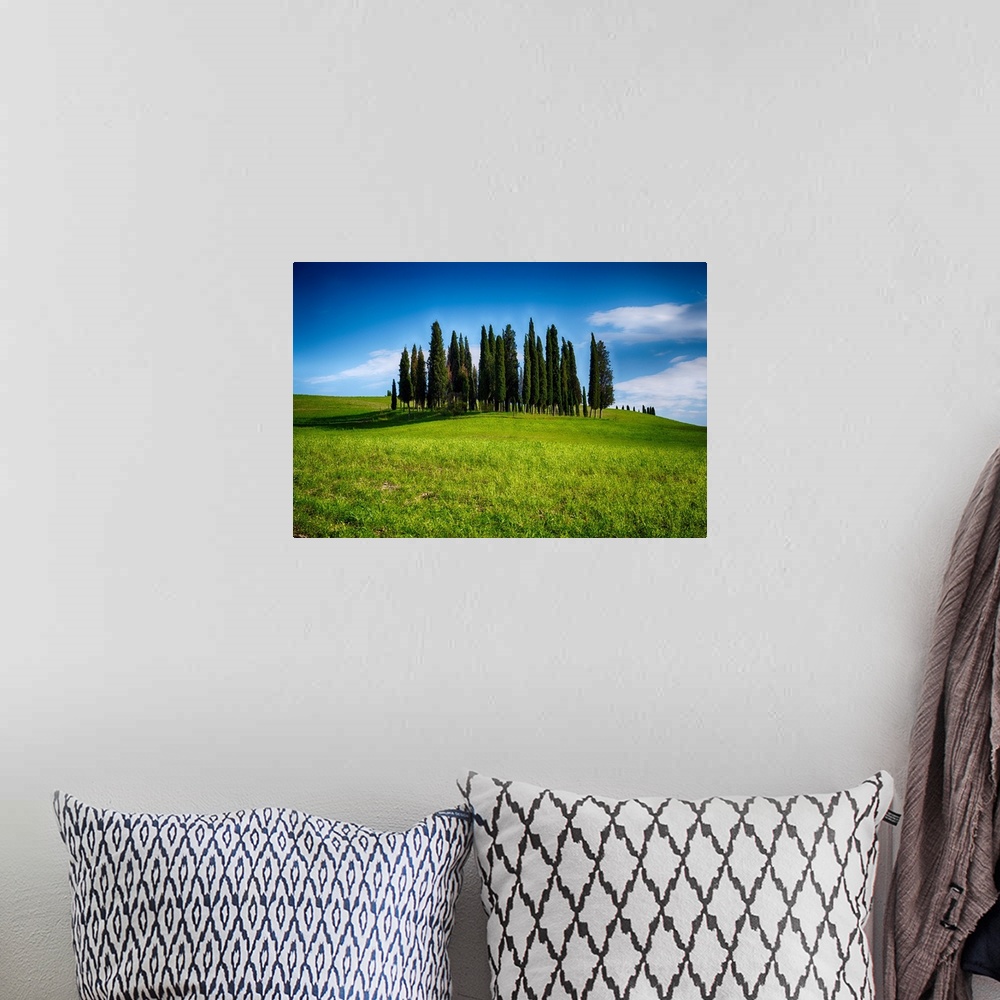 A bohemian room featuring Group of Cypress trees on a Knoll, San Quirico d'Orcia, Tuscany, Italy.