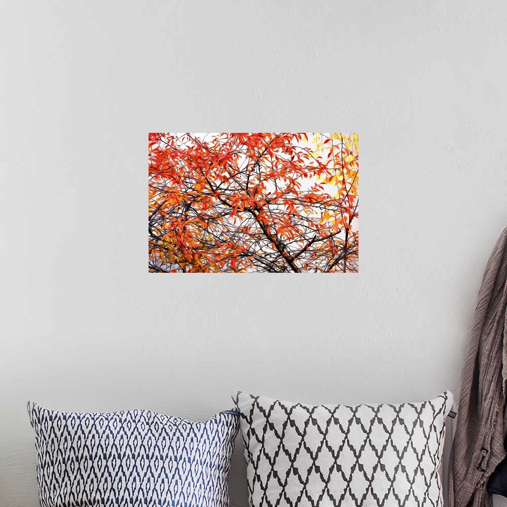 A bohemian room featuring Image of red, orange, and yellow Autumn leaves on a tree with a painted effect.