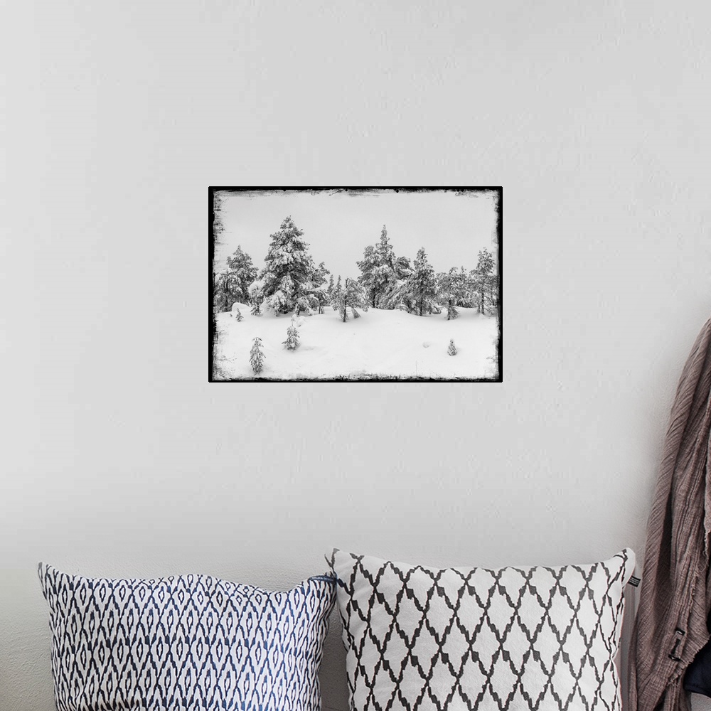A bohemian room featuring Fir trees under snow with photo texture