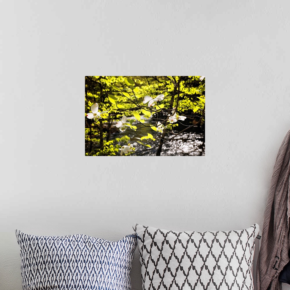 A bohemian room featuring A photograph of bright green leaves and little white flowers on tree branches.