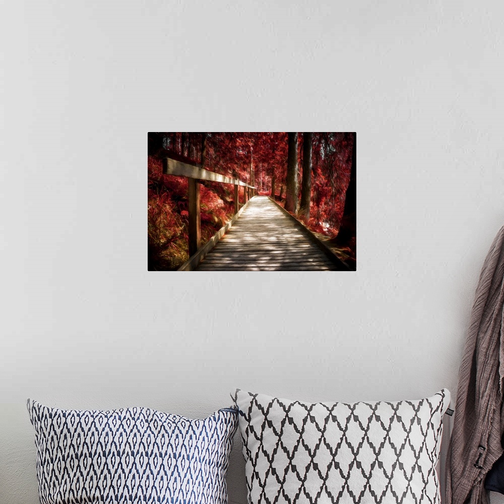 A bohemian room featuring Photo Expressionism -Wooden path in a red autumn forest.