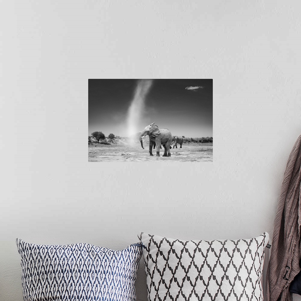 A bohemian room featuring An elephant shakes his head with dissatisfaction at a passing dust devil.