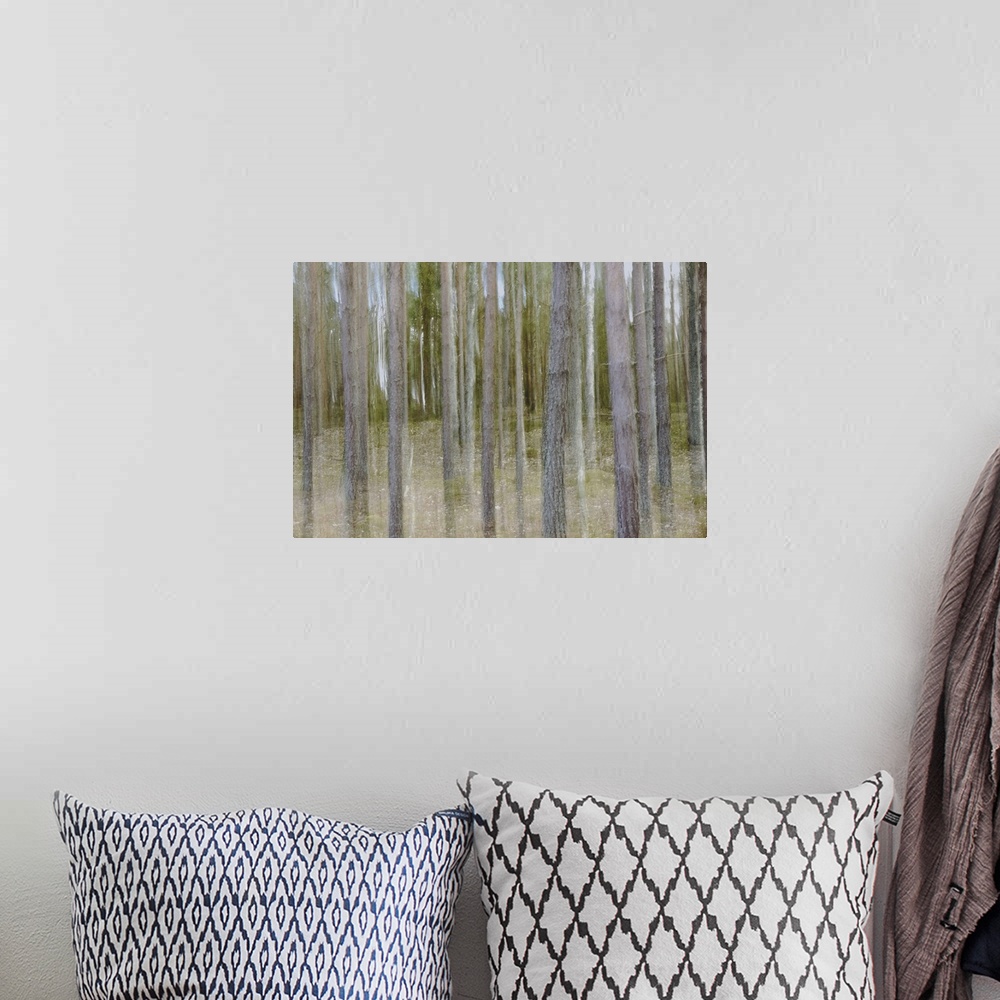 A bohemian room featuring Artistically blurred photo. A dark pine forest in Sweden. Always in a twilight.