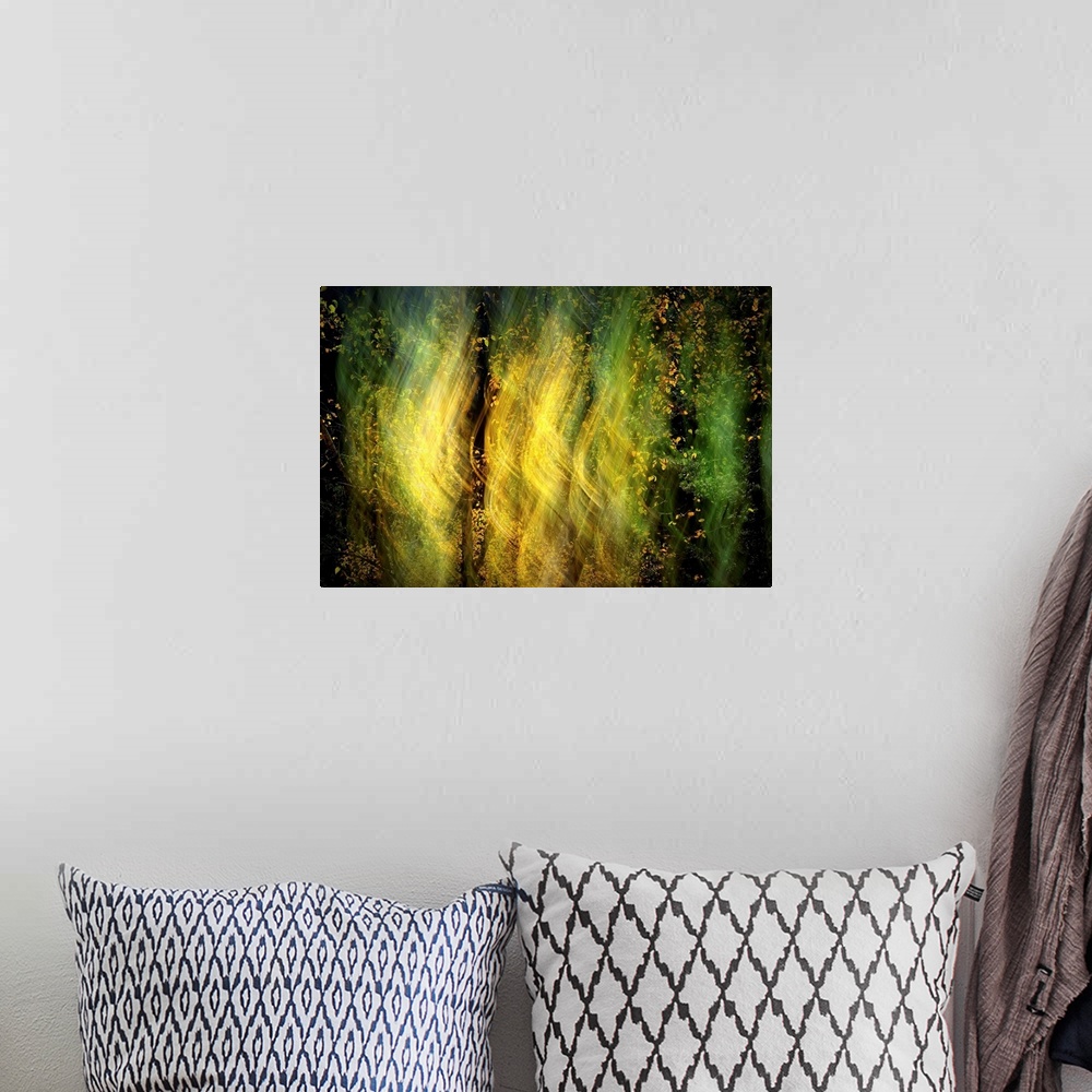 A bohemian room featuring Abstract blurred image of light shining through the trees in a forest.