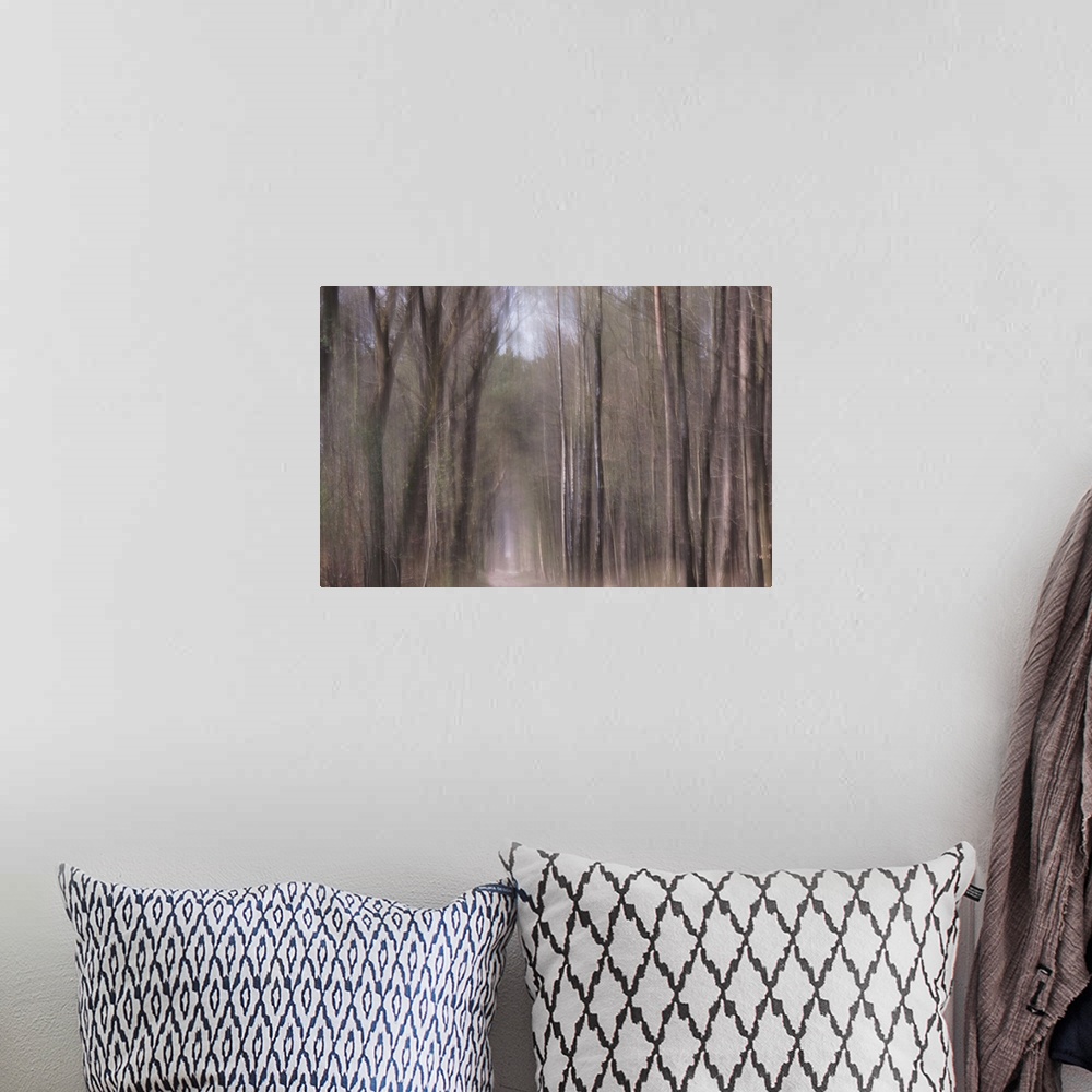 A bohemian room featuring Artistically blurred photo. Trees catch the sunbeams when they fall from heaven.