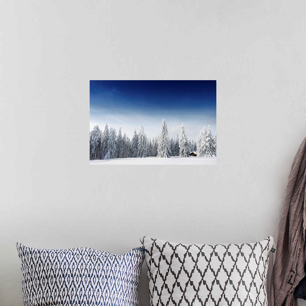 A bohemian room featuring Fine art photo of a forest in winter under a fresh snowfall.