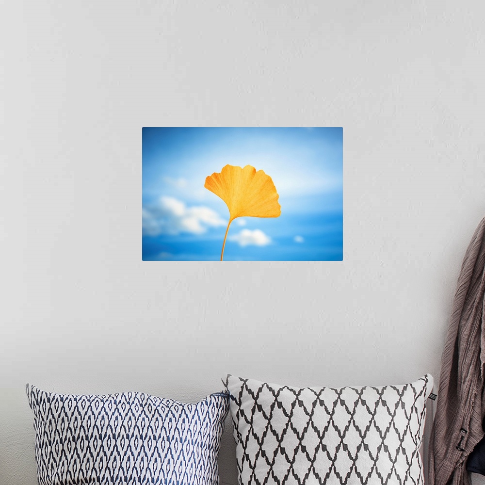 A bohemian room featuring Yellow gingko leaf in front of a blue sky