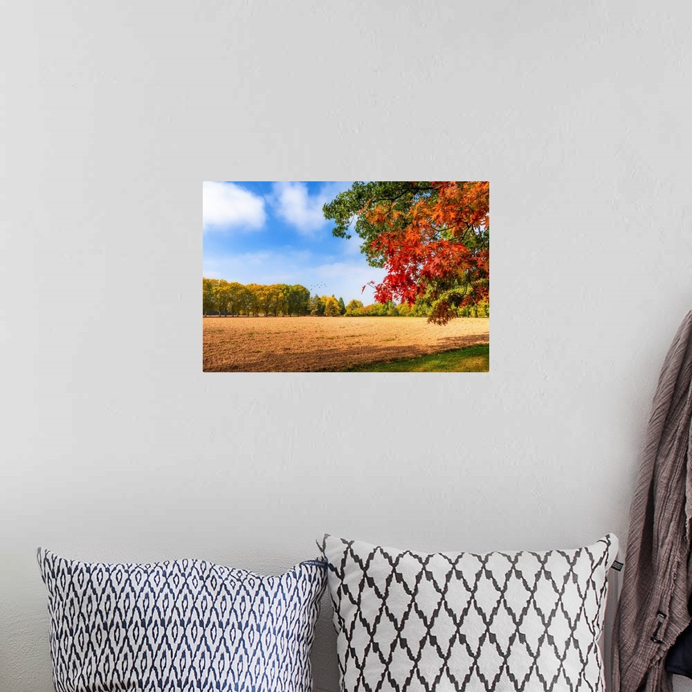 A bohemian room featuring Beautiful autumn day in the countryside