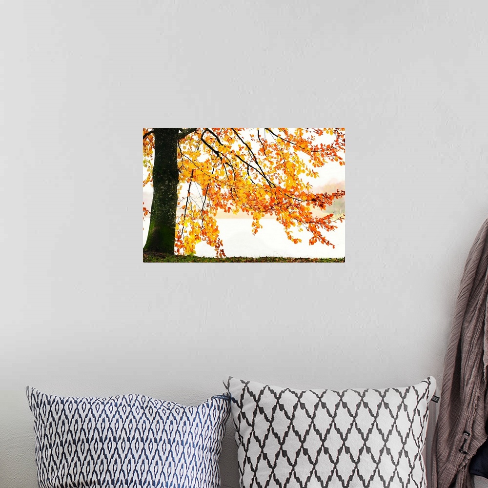 A bohemian room featuring Orange leaves in autumn