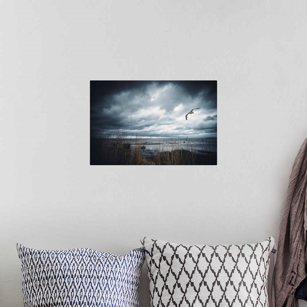 A bohemian room featuring Stormy sky by the sea with a seagull in the sky