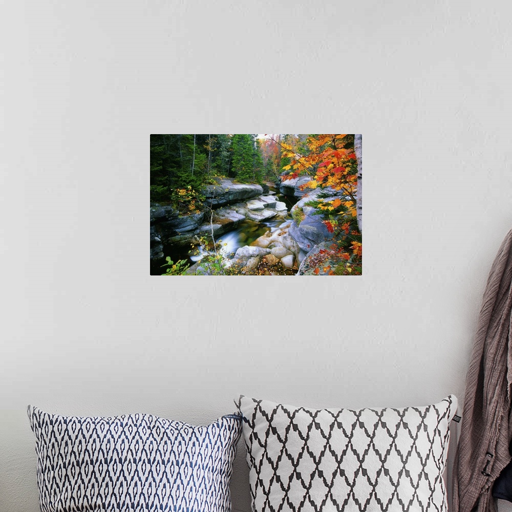 A bohemian room featuring Granite rocks of Ammonoosuc River in Fall, White Mountains, New Hampshire.