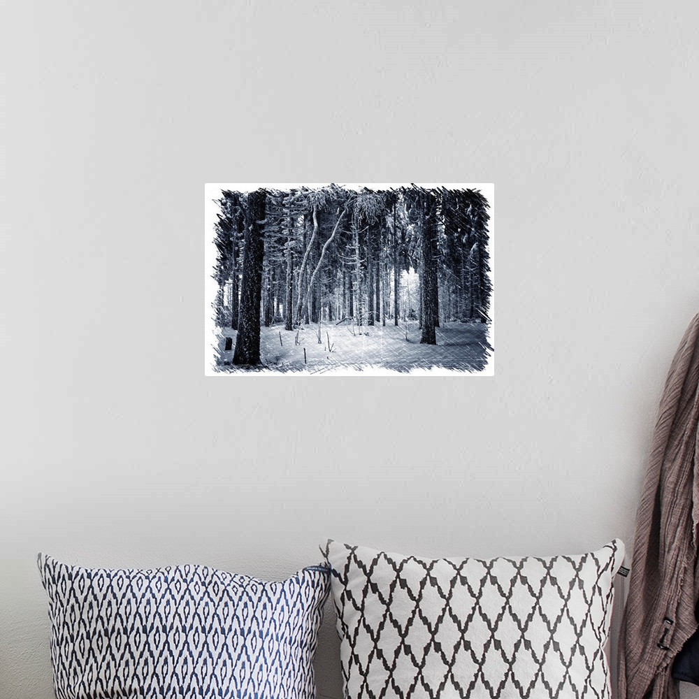 A bohemian room featuring Interior of a winter forest with a drawing effect