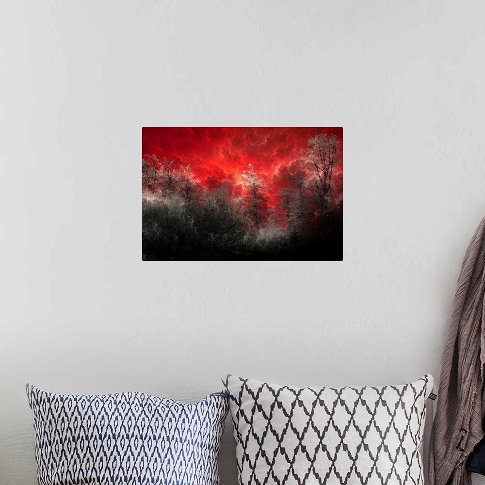 A bohemian room featuring Horizontal, large wall art of a black and grey forest of trees beneath a deep red sky with billow...