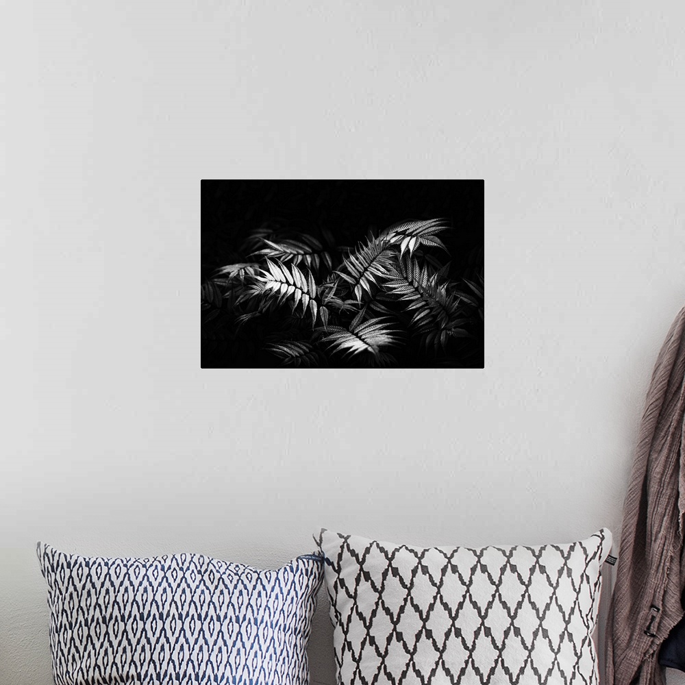 A bohemian room featuring Fern close up and black and white