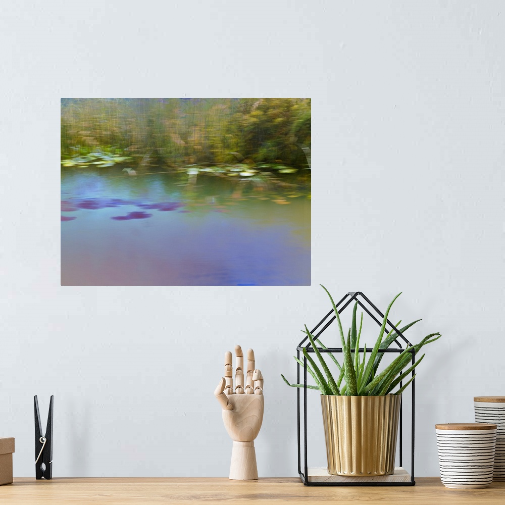 A bohemian room featuring Blurred photograph of a pond landscape created with multiple exposures.