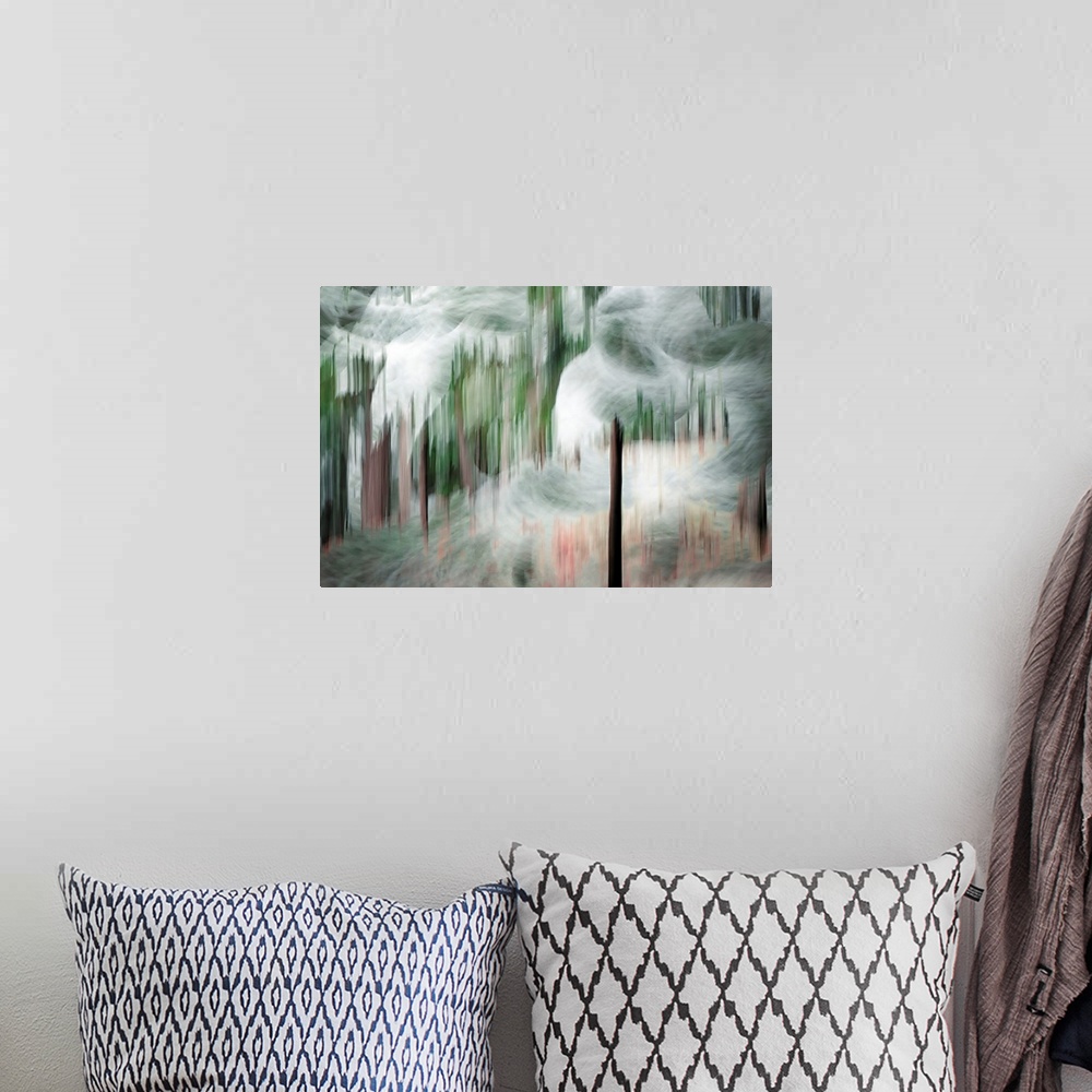 A bohemian room featuring Abstract image of a group of tall cedars on a snowy day in the mountains of British Columbia, Can...